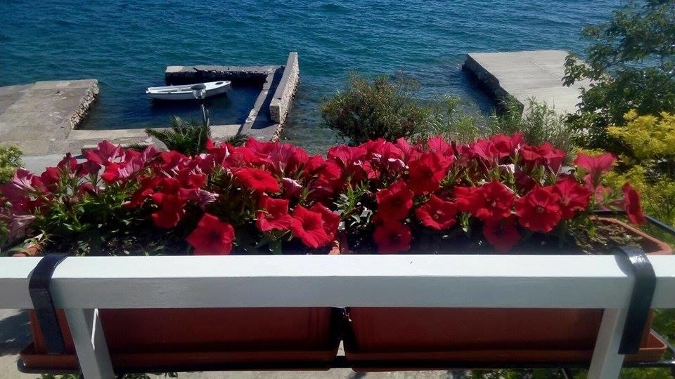 Bed And Breakfast Miramar Starigrad Paklenica Dış mekan fotoğraf