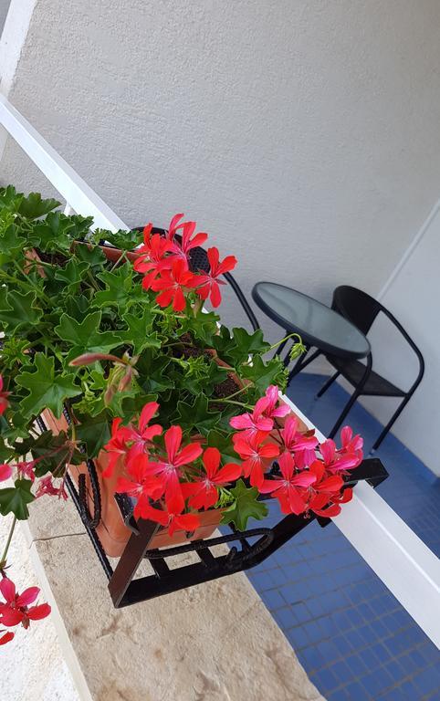 Bed And Breakfast Miramar Starigrad Paklenica Dış mekan fotoğraf