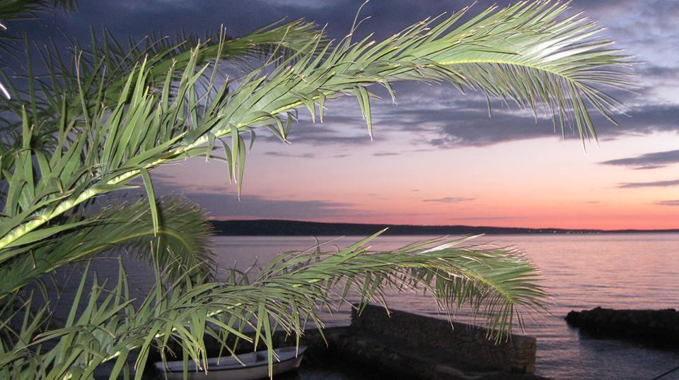 Bed And Breakfast Miramar Starigrad Paklenica Dış mekan fotoğraf